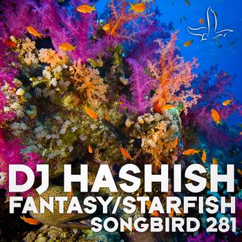 DJ Hashish - Fantasy / Starfish
