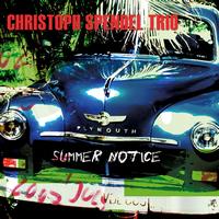 Christoph Spendel Trio - Summer Notice