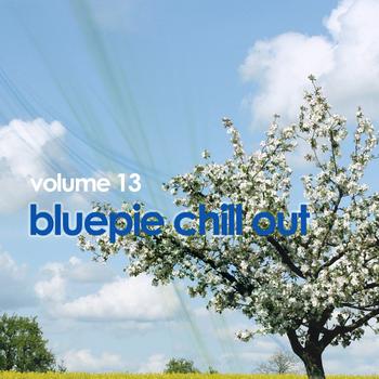 Various Artists - Chill Out Vol 13