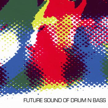 Various Artists - Future Sound Of Drum 'n' Bass