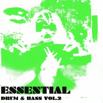 Various Artists - Essential Drum & Bass Vol 2