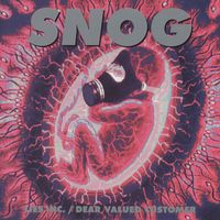 Snog - Lies Inc./Dear Valued Customer