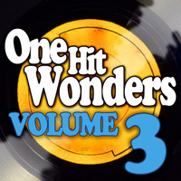 Various Artists - One Hit Wonders - Vol. 3