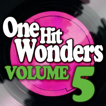 Various Artists - One Hit Wonders - Vol. 5