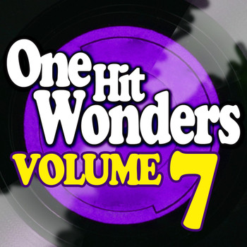 Various Artists - One Hit Wonders - Vol. 7