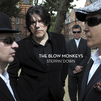 The Blow Monkeys - Steppin' Down