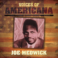 Joe Medwick - Voice Of Americana: Joe Medwick