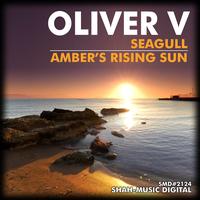 Oliver V. - Seagull / Ambers Rising Sun