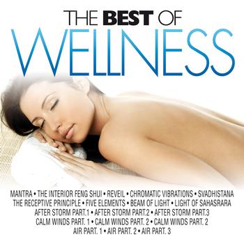 Various Artists - The Best of Wellness (Spa, Relaxation, Yoga, Hydrotherapy, Harmony for Brain Power, Fitness and Workout)