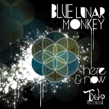 Blue Lunar Monkey - Here & Now