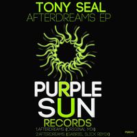 Tony Seal - After Dreams