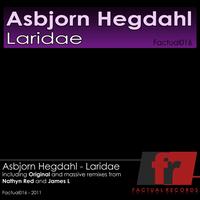 Asbjorn Hegdahl - Laridae