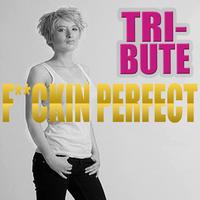 True Stars - F**kin' Perfect - Single (Pink Tribute)
