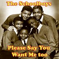 The Schoolboys - Please Say You Want Me too