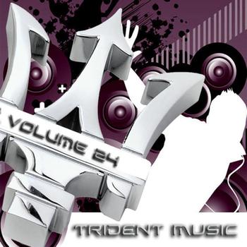 Various Artists - Trident Music Vol. 23