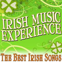 World Music Unlimited - Irish Music Experience (The Best Irish Songs)