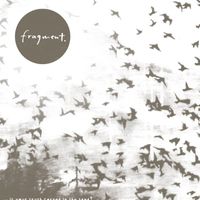 fragment. - is your truth carved in the sand?