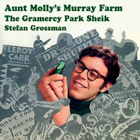 Stefan Grossman - Aunt Molly's Murray Farm / The Gramercy Park Sheik