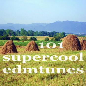 Various Artists - 101 Super Cool Edm Tunes
