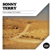 Sonny Terry - Pick a Bale of Cotton