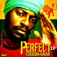 Perfect Giddimani - Perfect EP (Explicit)