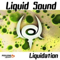Liquid Sound - Liquidation