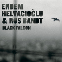Erdem Helvacioglu - Black Falcon