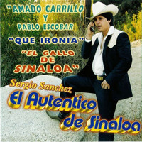 El Autentico De Sinaloa - El Gallo De Sinaloa
