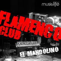 Flamenco Club - El Mandolino