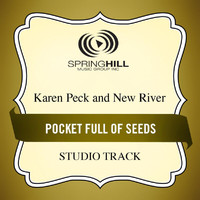 Karen Peck & New River - Pocket Full Of Seeds