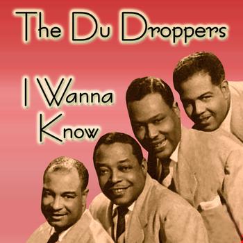 The Du Droppers - I Wanna Know