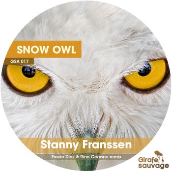 Stanny Franssen - Snow Owl