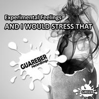Experimental Feelings - And I Would Stress That