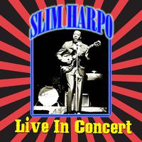 Slim Harpo - Live - In Concert