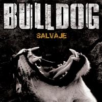 Bulldog - Salvaje