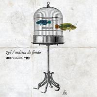Zoé - MTV Unplugged Música De Fondo (Standard Version)