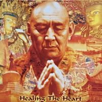 Sina Vodjani - Healing the Heart