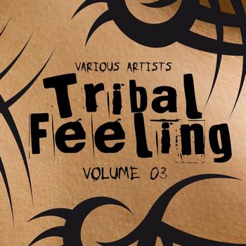 Various Artists - Tribal Feeling, Vol. 3