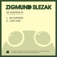 Zigmund Slezak - No Surprise EP