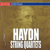 Hungarian String Quartet - Haydn - String Quartets