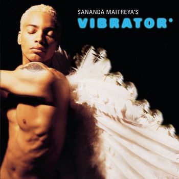 Sananda Maitreya - Ttd'S Vibrator