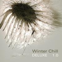 Various Artists - Winter Chill Deluxe 1.0