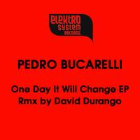 Pedro Bucarelli - One Day It Will Change - EP