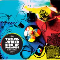 Hipnótica - Twelve-Wired Bird of Paradise