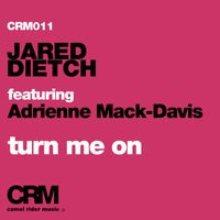 Jared Dietch - Turn Me On (feat. Adrienne Mack-Davis)