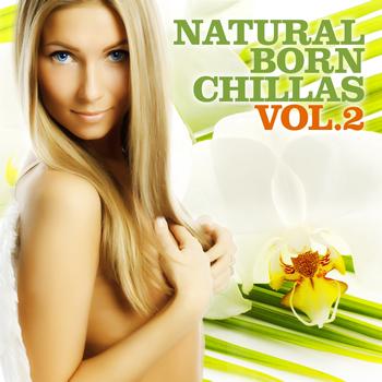 Various Artists - Natural Born Chillas, Vol. 2 (The Ultimate Lounge & Chill Out Experience)