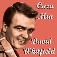 David Whitfield - Cara Mia  