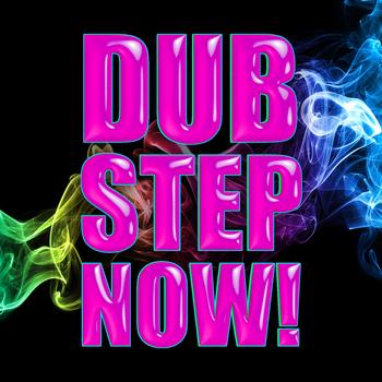 Various Artists - Dub Step Now!
