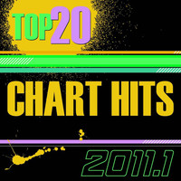 The CDM Chartbreakers - Top 20 Chart Hits 2011, Vol. 1