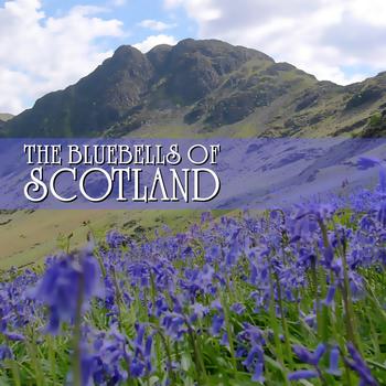 Various Artists - The Bluebells Of Scotland